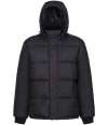 RG448 TRA245 Regatta Northdale Insulated Jacket Black colour image
